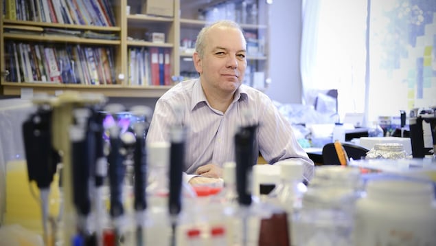Daniel Sinnett, chercheur au Centre de cancérologie Charles-Bruneau du CHU Sainte-Justine