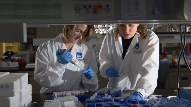 Deux femmes dans un laboratoire de recherche