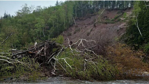 Les débris bloquaient environ 80 % de la rivière. Les débris bloquaient environ 80 % de la rivière.