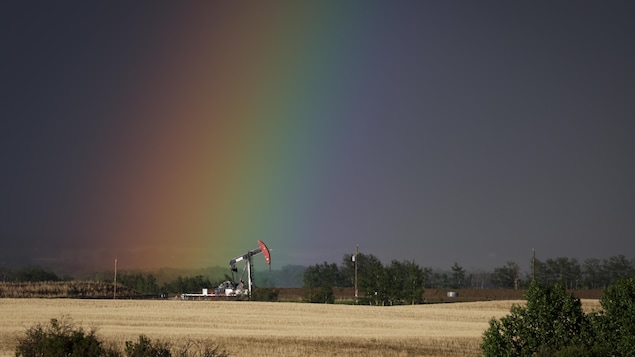 Un chevalet de pompage au milieu d'un champ, près de Calgary, en Alberta.