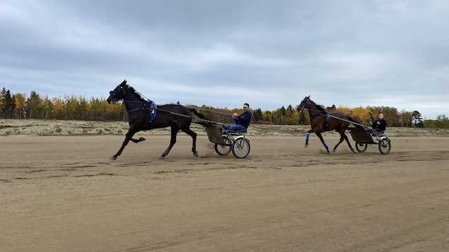 Une course de chevaux sous harnais espérée en 2023 à Métabetchouan-Lac-à-la-Croix