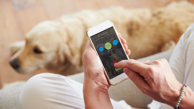 Une femme regarde une application sur son téléphone avec son chien. Une femme regarde une application sur son téléphone avec son chien.