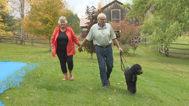 Photo d'un homme et d'une femme aînés qui font marcher un chien noir sur la pelouse à l'extérieur. Photo d'un homme et d'une femme aînés qui font marcher un chien noir sur la pelouse à l'extérieur.