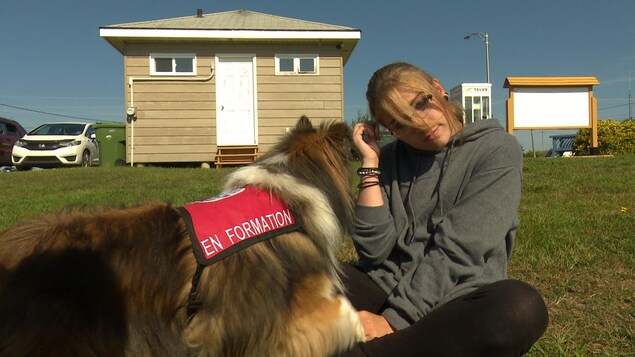 Une femme et un chien sont assis sur la pelouse. Le chien porte un dossard sur lequel on peut lire « en formation ». Une femme et un chien sont assis sur la pelouse. Le chien porte un dossard sur lequel on peut lire « en formation ».