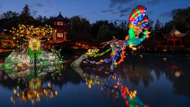 今年，蒙特利爾植物園”月亮頌“燈光秀中夢湖園一景。