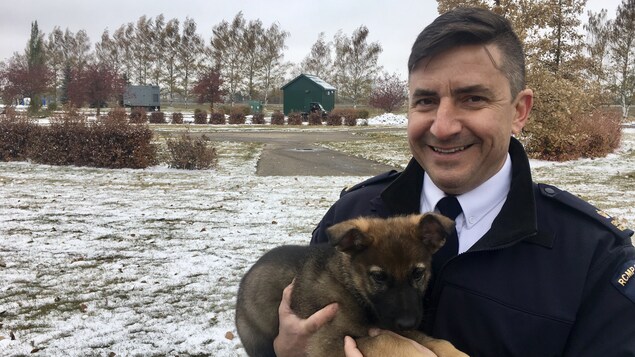 Un chiot est tenu par un inspecteur de la GRC, à l'extérieur du centre de dressage. Un chiot est tenu par un inspecteur de la GRC, à l'extérieur du centre de dressage.