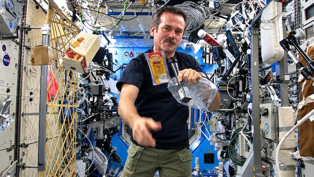 Du bison de la Saskatchewan envoyé dans la Station spatiale internationale
