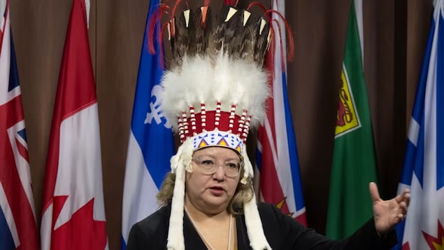 National Chief of the Assembly of First Nations Cindy Woodhouse Nepinak during a news conference in Ottawa. She says Air Canada staff forced her to hand over a case containing her headdress before the departure of a flight Wednesday. 