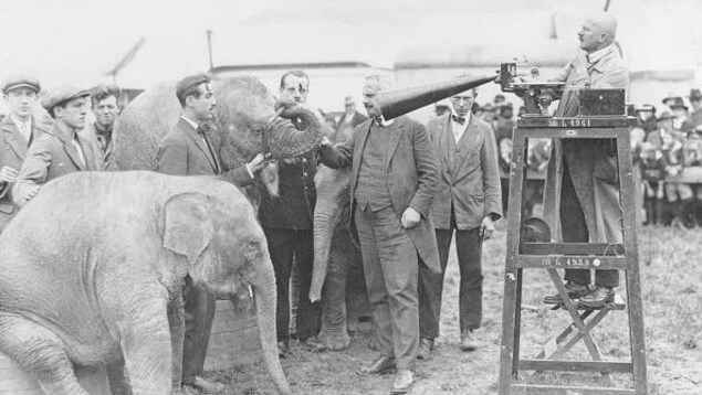 Photo date de 1932 - Des éléphants sont placés sur des caisses en bois. Un homme monté sur une chaise en bois enregistre le barrissement des animaux avec une sorte d'entonnoir relié à un microsillon. Photo date de 1932 - Des éléphants sont placés sur des caisses en bois. Un homme monté sur une chaise en bois enregistre le barrissement des animaux avec une sorte d'entonnoir relié à un microsillon.