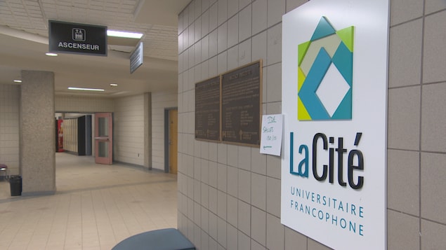 La Cité universitaire francophone devient officiellement une faculté