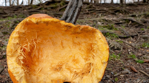 Une agression armée lors d’une fête d’Halloween à Pictou, en Nouvelle-Écosse