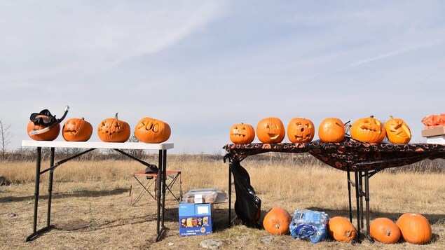 Le concours de sculpture de citrouilles sous l’eau revient pour une deuxième année