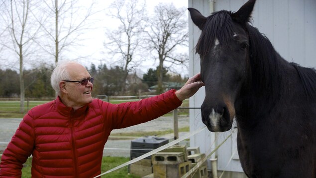 Clifford Campbell en train de caresser le museau d'un cheval. Clifford Campbell en train de caresser le museau d'un cheval.