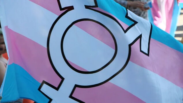 Un drapeau de la communauté transgenre.