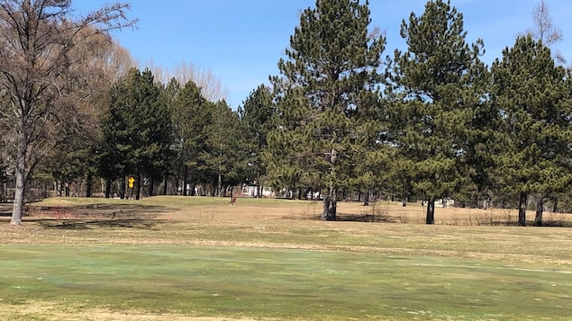 Un programme pour encourage les femmes à jouer au golf à Ville-Marie