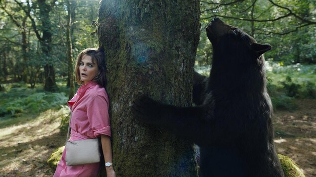 Un ours enlace un tronc d'arbre derrière lequel une femme se cache. 