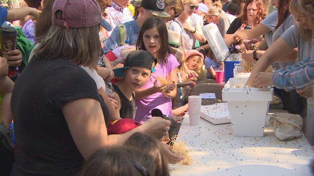 Enfants et adultes sont attroupés devant la table sur laquelle sont posées les boîtes qui contiennent les coccinnelles. Enfants et adultes sont attroupés devant la table sur laquelle sont posées les boîtes qui contiennent les coccinnelles.
