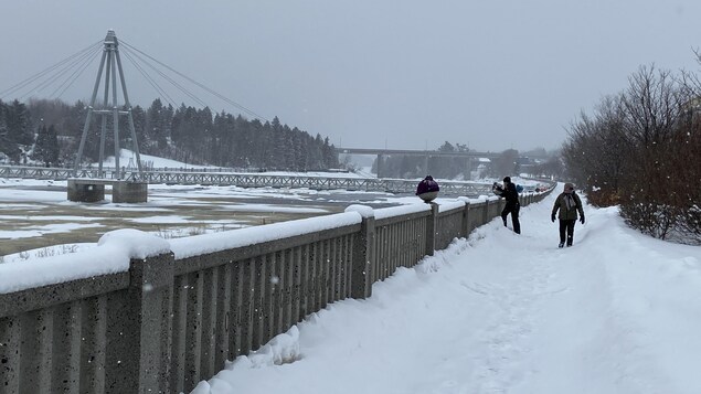 Le plus petit nombre de cas confirmés de COVID-19 en un an dans la région