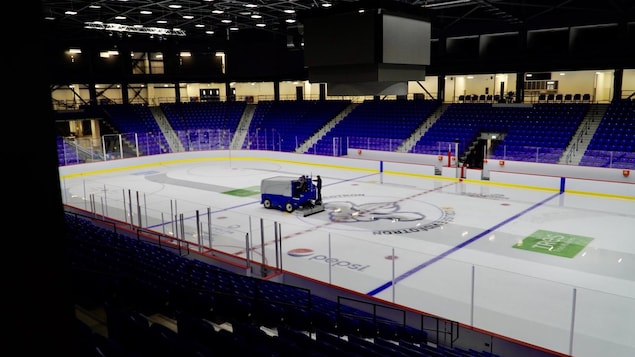 À quoi s’attendre au premier match des Lions de Trois-Rivières?