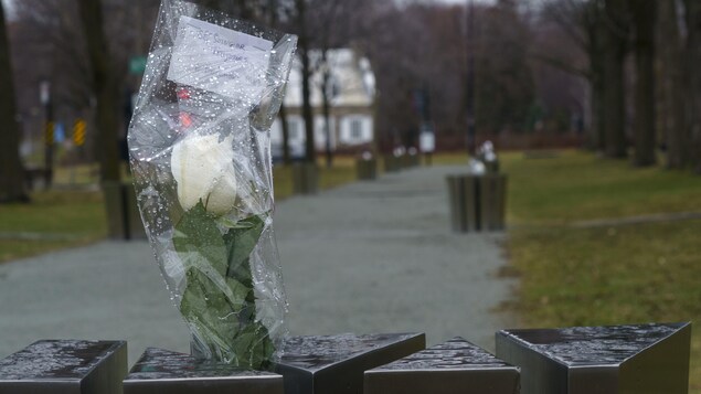 Une rose déposée près d'un monument.