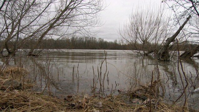 La rivière des Outaouais pendant la crue printanière de 2019.