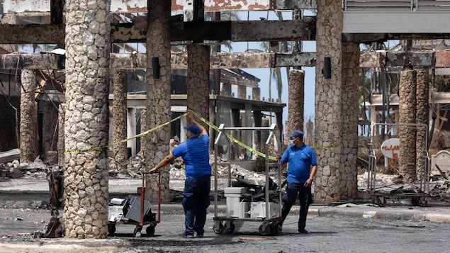 Des employés de l'hôtel déplacent des chariots dans une zone lourdement endommagée par un incendie à l'hôtel Viva Dominicus Beach de Bayahibe.