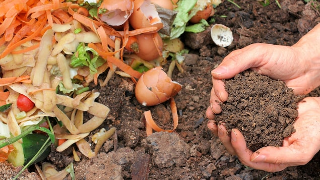 Un homme tient du compost dans ses mains.