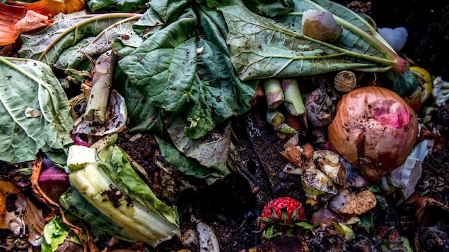 La Ville de Regina vote en faveur d’un programme de compostage
