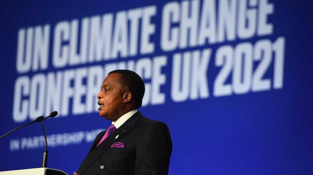 Séquestration de carbone : le Congo va planter 40 000 hectares de forêts