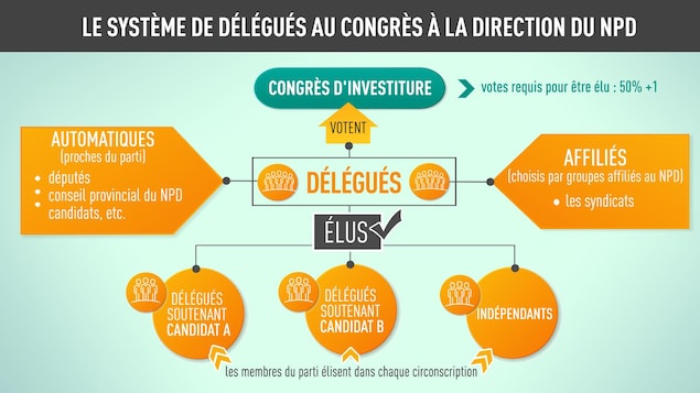 Le système de délégués au congrès à la direction du NPD Le système de délégués au congrès à la direction du NPD