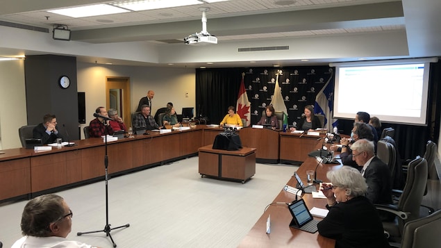 Le conseil de la Ville de Rouyn-Noranda réuni en séance ordinaire le 28 novembre 2022.