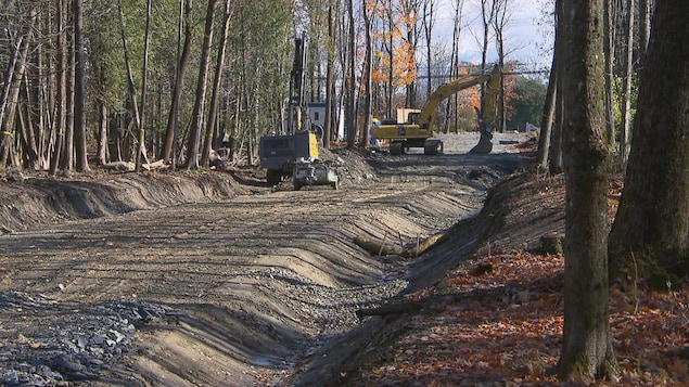 Deux grues sont stationnées sur le chantier d'une large route entourée d'arbres.