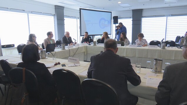 Consultations en vue du Sommet sur le transport aérien régional à Rimouski Consultations en vue du Sommet sur le transport aérien régional à Rimouski