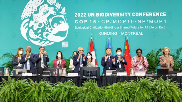 Mesa directiva de la COP15 en Montreal.