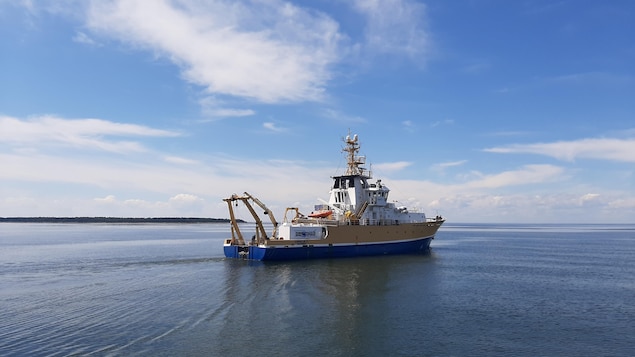 Remonter dans le temps pour mieux connaître les risques de séismes dans l’estuaire