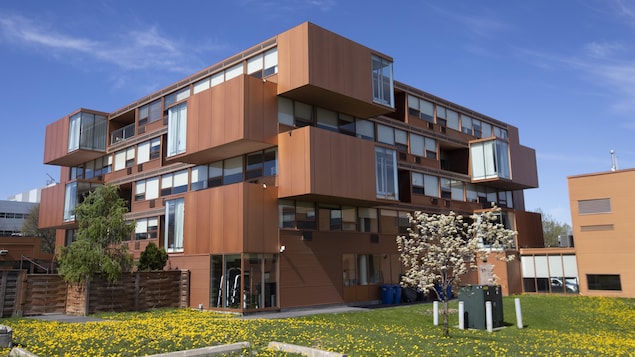 L'immeuble, qui comporte plusieurs unités.