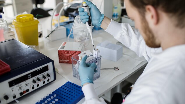 Un chercheur dans un laboratoire effectue des tests pour développer un vaccin contre la COVID-19. 