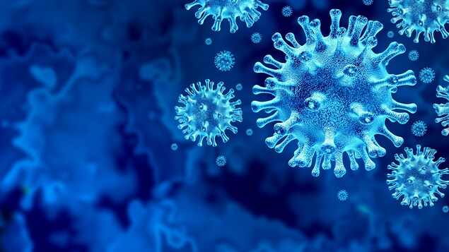 Un coronavirus en gros plan.