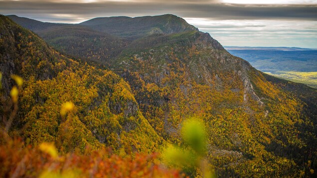 Accès gratuit et activités spéciales pour la 11e Journée des parcs nationaux