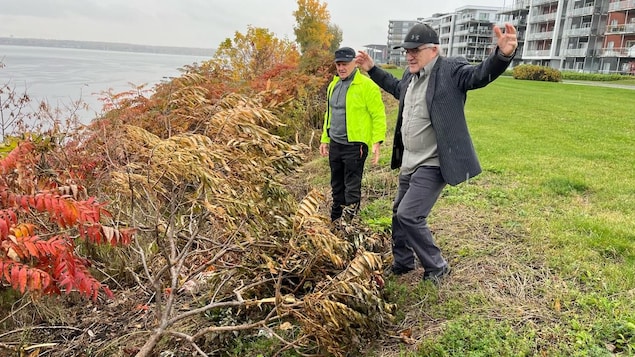 Coupe de végétaux : un citoyen dépose une plainte au ministère de l’Environnement.