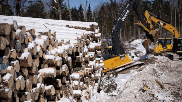 Coupes forestières : rencontre entre les Atikamekw et le ministre des Forêts