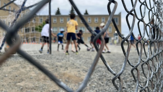 Près de 30 000 incidents de violence dans les écoles québécoises