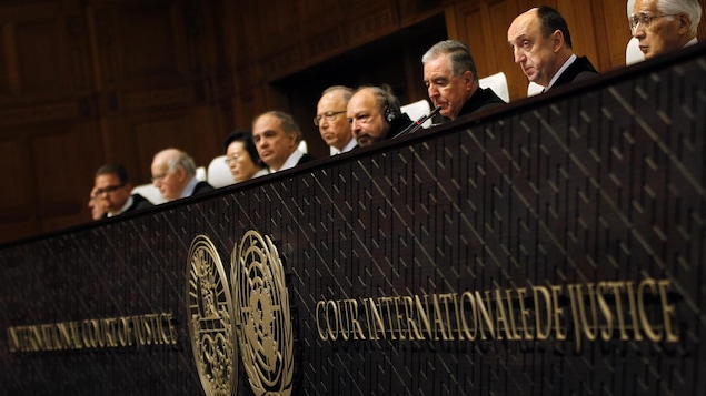 Des juges de la Cour internationale de justice sont assis en rangée.