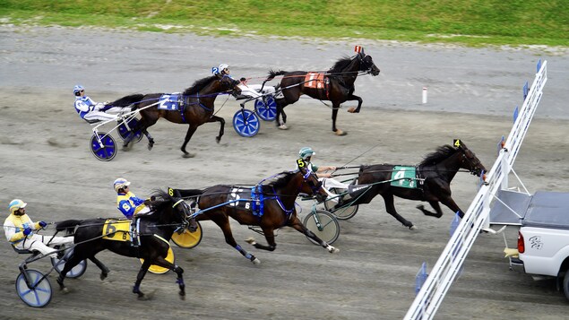 Bilan de saison pour l’Hippodrome de Trois-Rivières
