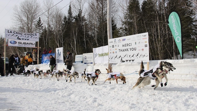 Une course de traîneaux à chiens en cours en Gaspésie