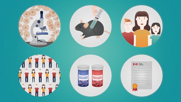 Les multiples étapes de création d'un médicament. Les multiples étapes de création d'un médicament.