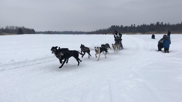 Retour de la course de chiens de traîneau à Saint-Luc-de-Vincennes