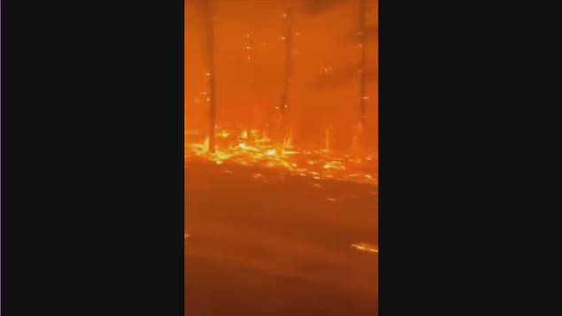 Un feu de forêt vu de l'intérieur. 