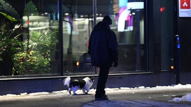 Il n’est plus permis de promener son chien pendant le couvre-feu, au Québec