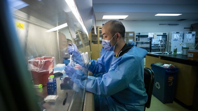 Un scientifique travaille dans un laboratoire à Vancouver.